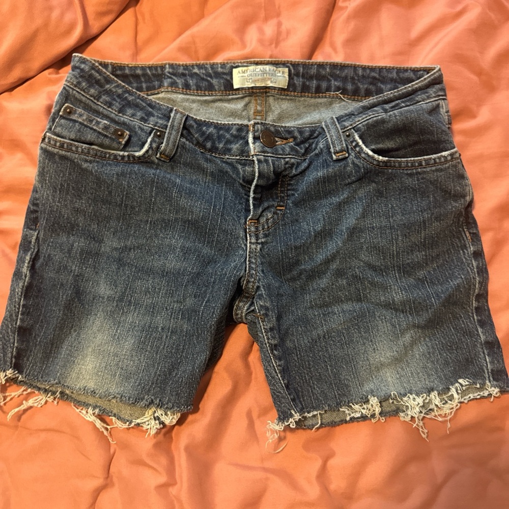 American Eagle Outfitters Blue Denim Shorts